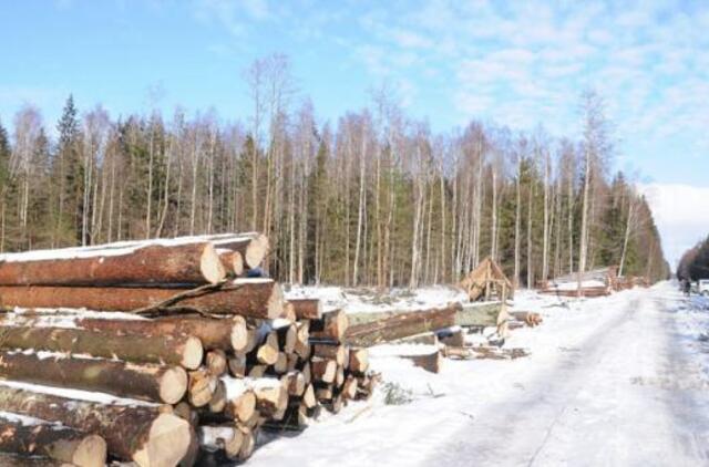 5 valstybinės žemės miškų sklypai aukcione parduoti už beveik 76 tūkst. litų