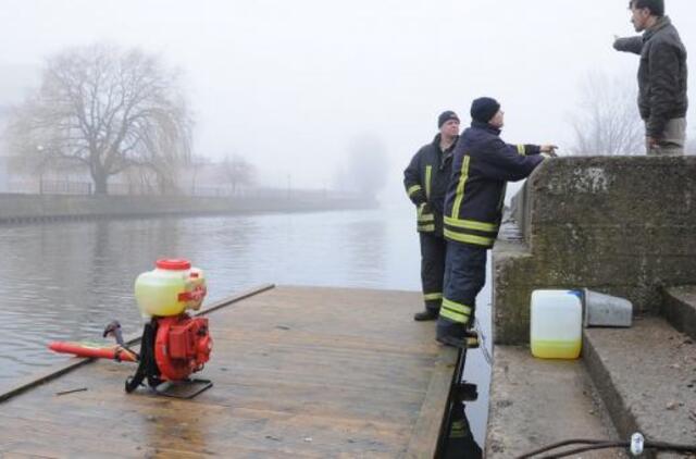 Danės upėje -  naftos dėmės