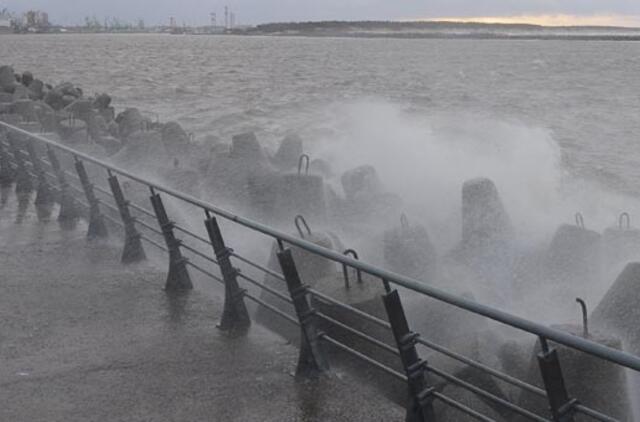 Dėl stipraus vėjo važiuojamojoje kelio dalyje gali būti nulaužtų medžių šakų