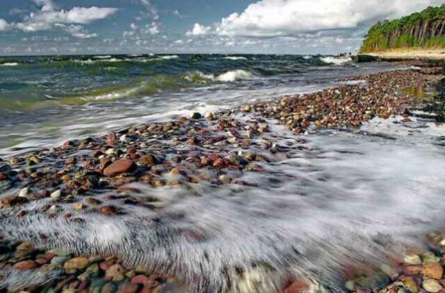 Geriausi "Mano krašto portretai" vaizduoja fotomenininką, dailininkę ir medžio drožėją