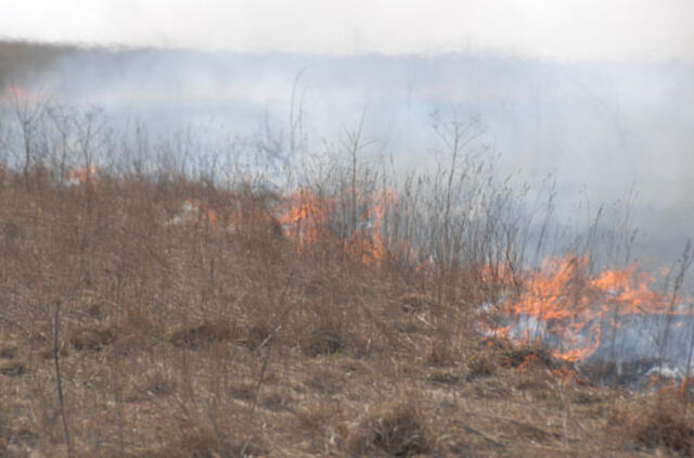 Iš Rusijos persimetusį gaisrą Lietuvoje gesino pasieniečiai ir ugniagesiai