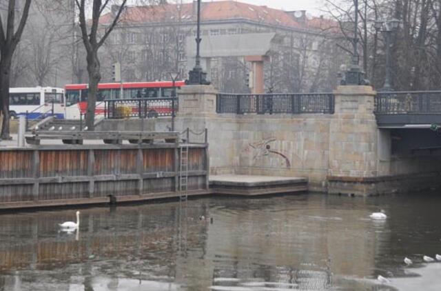 Klaipėda: VE.lt pristato kovo 12-osios įvykius