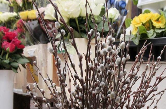 Klaipėda: VE.lt pristato kovo 19-osios įvykius