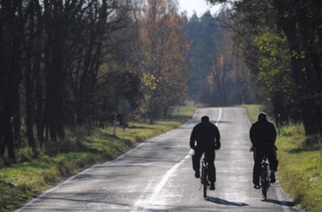 Lenkijoje gyvena 56 tūkst. Lietuvoje gimusių žmonių