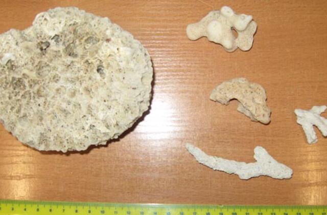 Muitininkai perspėja: nori egzotiško suvenyro - pasirūpink leidimu