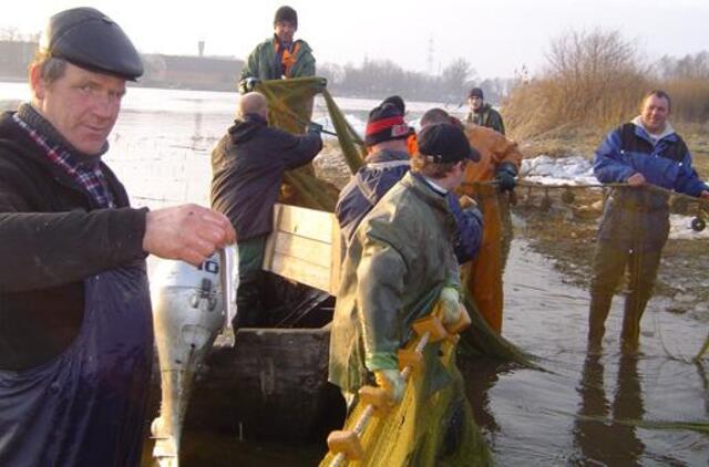 Pamario žvejai pametė galvas dėl stintų