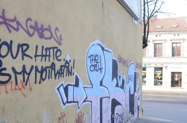 Už terliones ant sienų atsakys namo savininkai