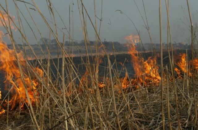 Uždegta pernykštė žolė supleškino namus