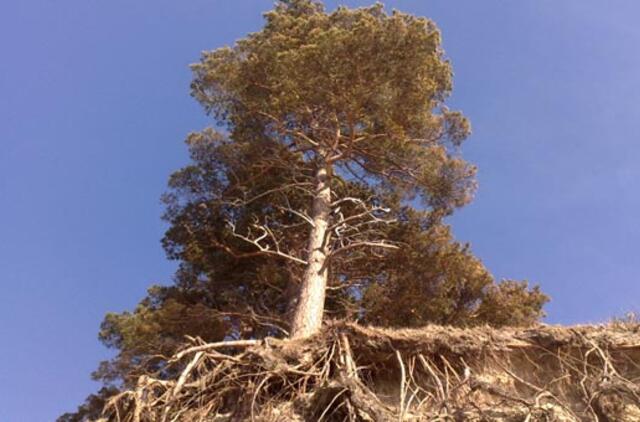 Balandžio 11-oji: vardadieniai, dangaus kūnai, istorija