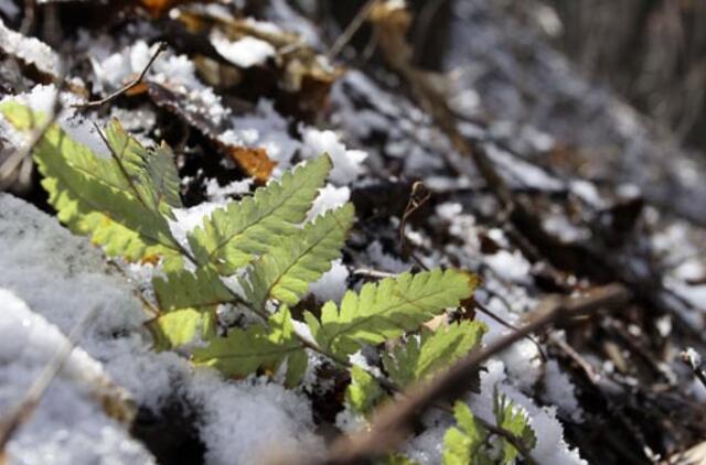 Balandžio 5-oji: vardadieniai, dangaus kūnai, istorija