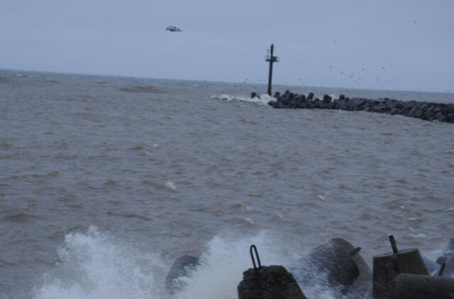 Klaipėda: VE.lt pristato balandžio 2-osios renginius