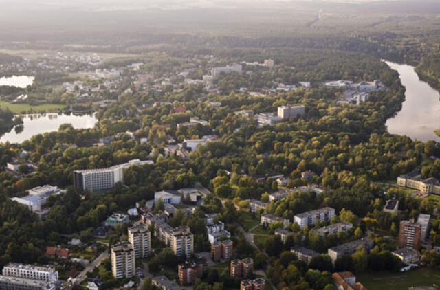 Lėšų mašalų naikinimui nerandama ir šiemet