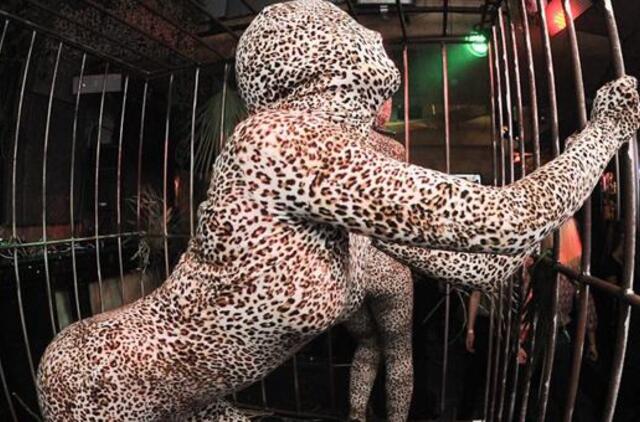 Savaitgalio grūvas: pupos, uogos ir žvaigždžių karštinė!