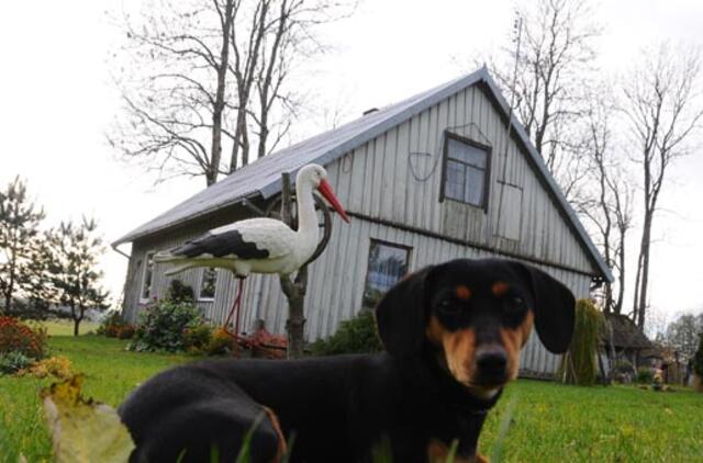 Vidutinė sodybų kaina Lietuvoje - 130 tūkst. litų