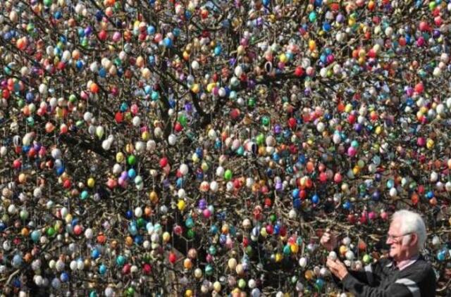 Vokietis papuošė obelį tūkstančiais margučių