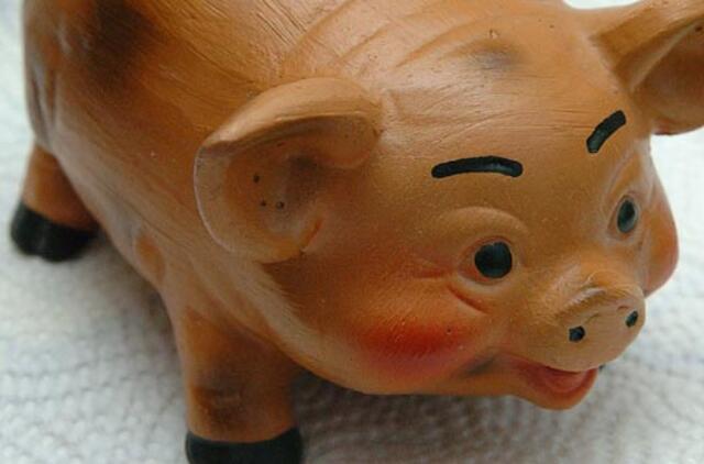 Dėl griežto taupymo abejoja ir Airija