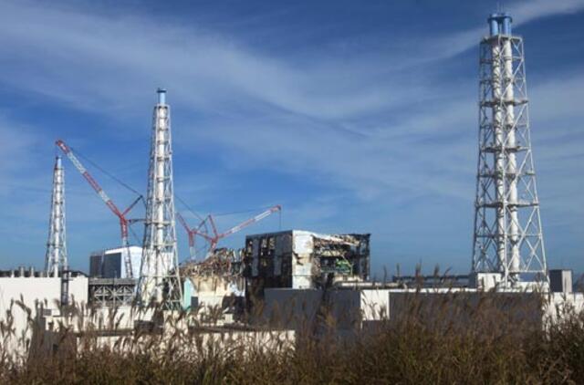Fukušimos jėgainės operatorės nuostoliai siekė 9,7 mlrd. dolerių