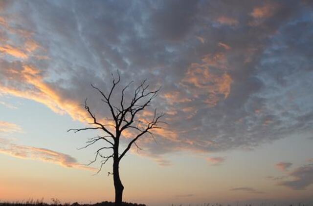 Gegužės 22-oji: vardadieniai, dangaus kūnai, istorija