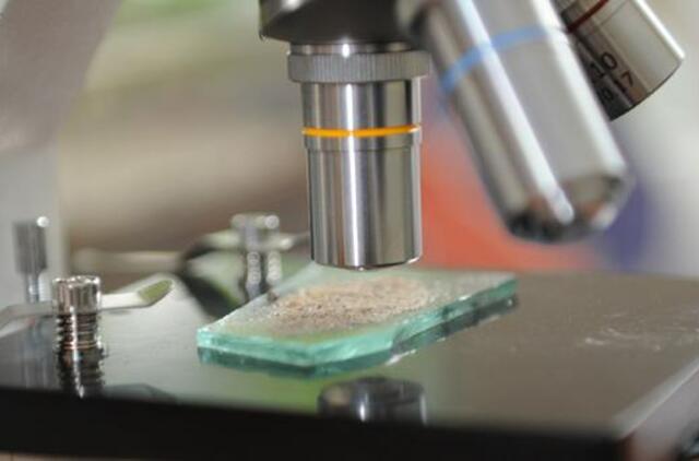 Izraelio laboratorijoje odos ląstelės "perdarytos" į širdies raumens ląsteles