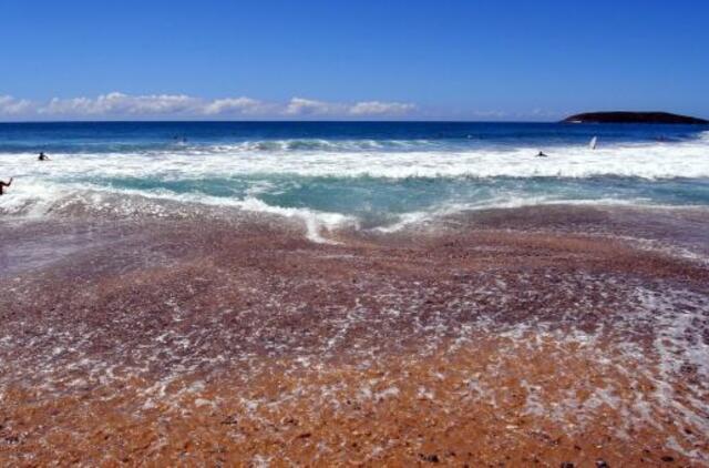 Merginos paliktas vaikinas dovanoja kelionę