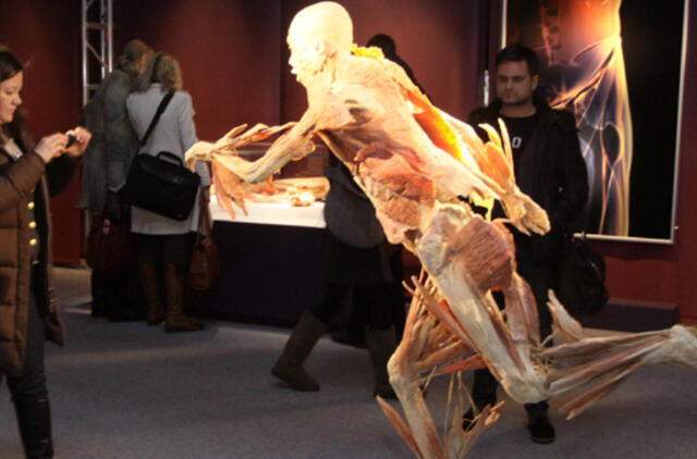 Paroda "The Human Body Exhibition" Lietuvoje bus rodoma ilgiau