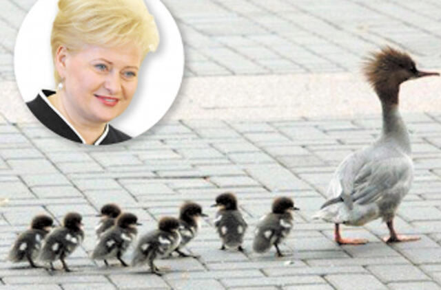 Pirmoji prezidentės Dalios Grybauskaitės vada