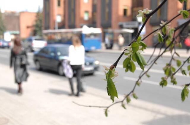 Savaitgalį į Lietuvą plūstels vėsesni orai