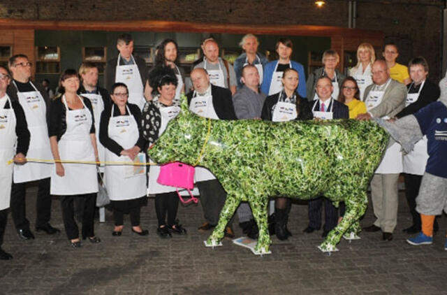 Ventspilį užplūs spalvingų karvių banda