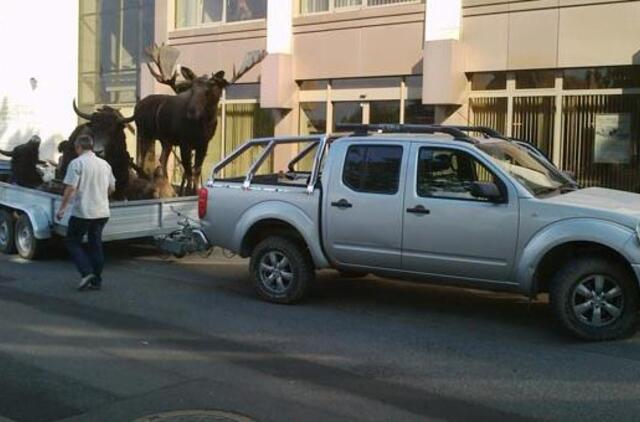 Antano Boso trofėjai pravažiavo per miestą