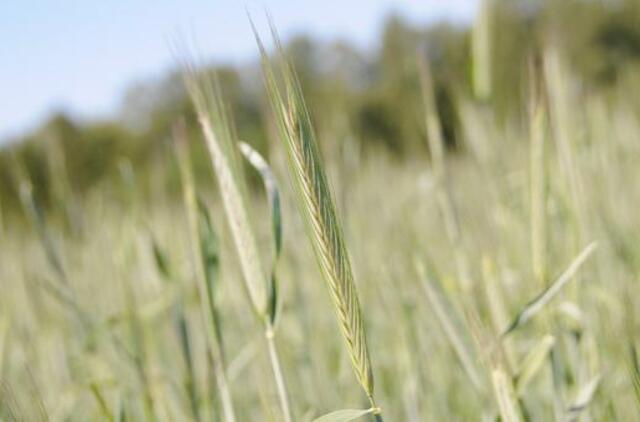 Birželio 18-oji: vardadieniai, dangaus kūnai, istorija