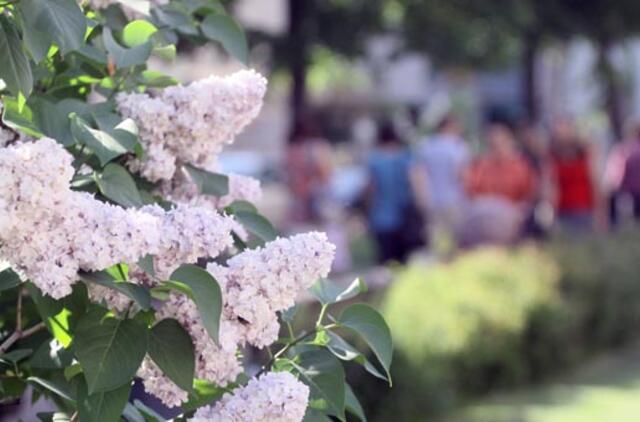 Birželio 6-oji: vardadieniai, dangaus kūnai, istorija