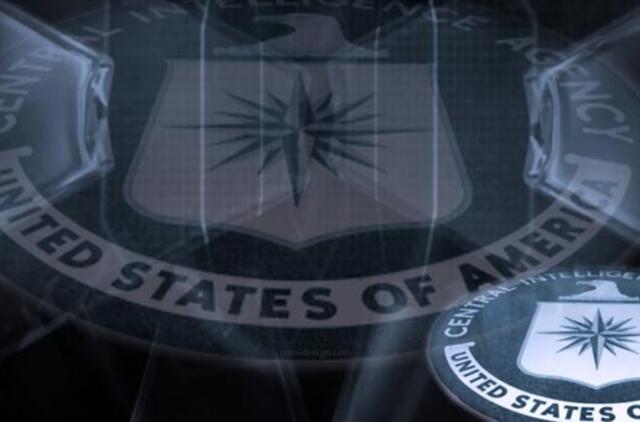 Britai programišiai prisipažino rengę išpuolius prieš CŽV ir tarptautinių bendrovių kompiuterius