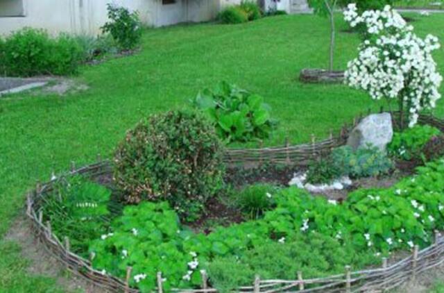 Išrinkti gražiausi Klaipėdos gėlynai