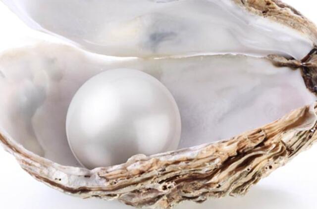 JAE rastas seniausias pasaulyje perlas
