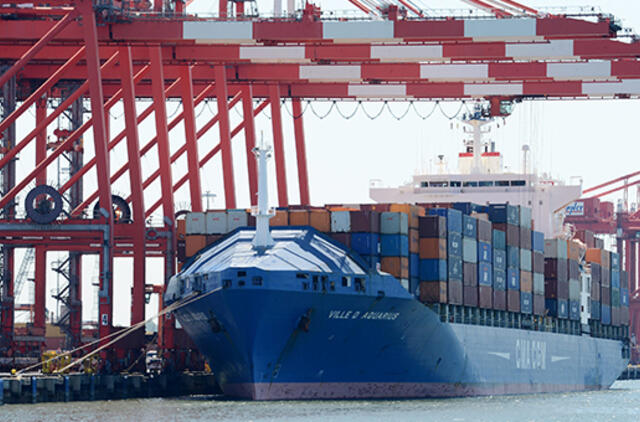 JAV: jūra atgabentame konteineryje aptikta dešimtys nelegalų