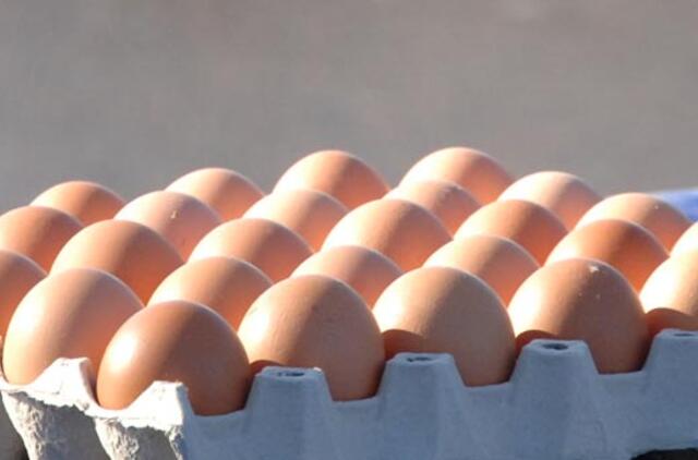 Kiaušinių daužymo čempionate grumiasi dalyviai iš viso pasaulio