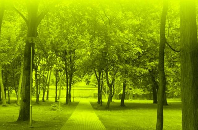 Klaipėda: renginiai, pramogos birželio 26 d.