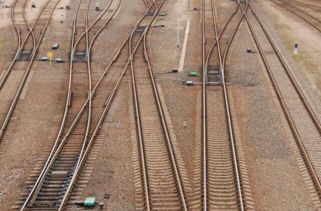 Plokštės trūkinėja, darbai vėluoja