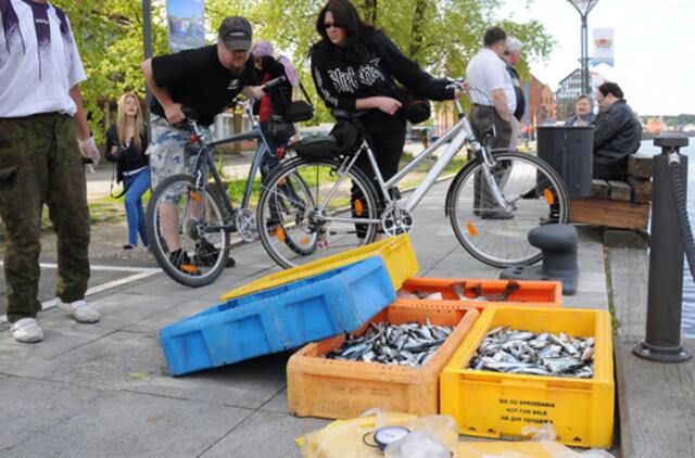Prekyba šviežia žuvimi Klaipėdoje tęsiasi