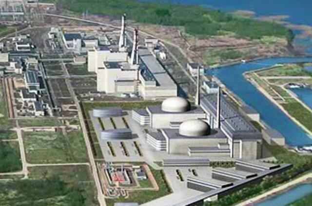 Seimas pritarė referendumui dėl atominės elektrinės