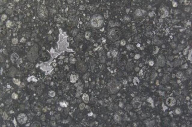 Sename meteorite atrastas naujas mineralas