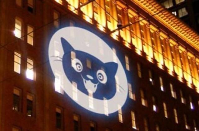 Interneto gynėjai įžiebs milžiniškus katės signalus