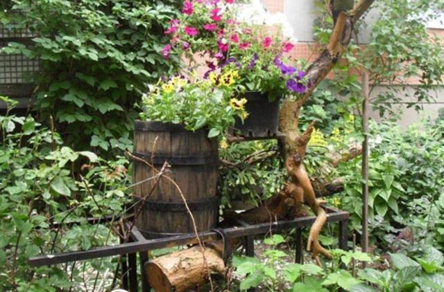 Išrinktas pavyzdingiausias Klaipėdos daugiabutis