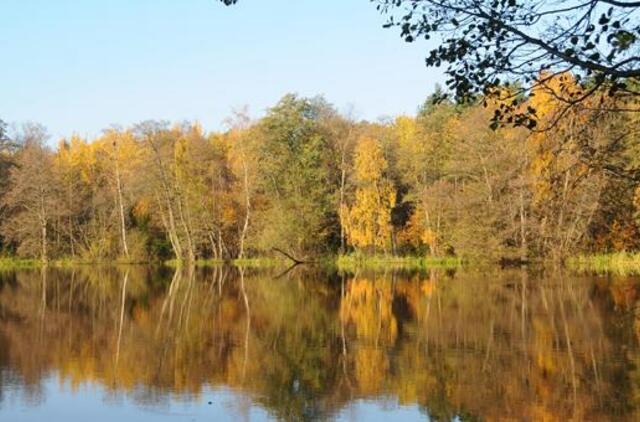 Lietuvos gyventojai svajoja atsikėlę ryte pro langą išvysti ežerą