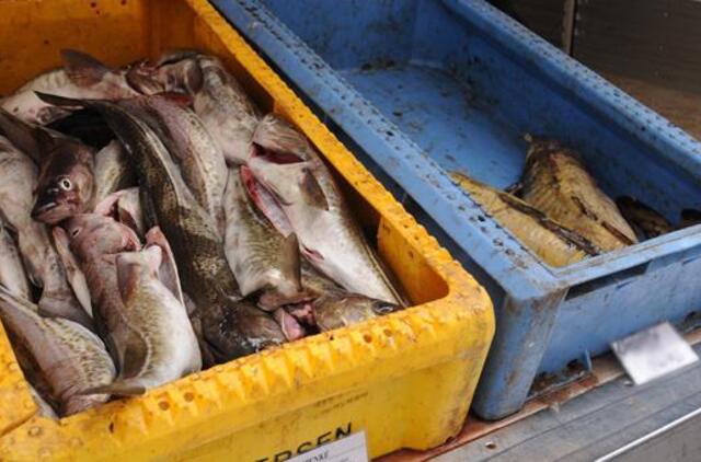 Nustatyta šešėlinė prekyba žuvimi