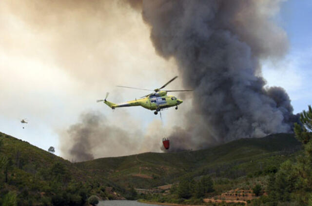 Per gaisrus Prancūzijos ir Ispanijos pasienyje žuvo keturi prancūzai