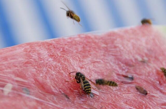 Vabzdžiai gelia skaudžiai ir pavojingai