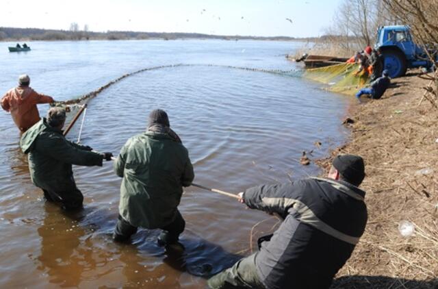 Žuvininkystės sektoriuje - daugybė pažeidimų