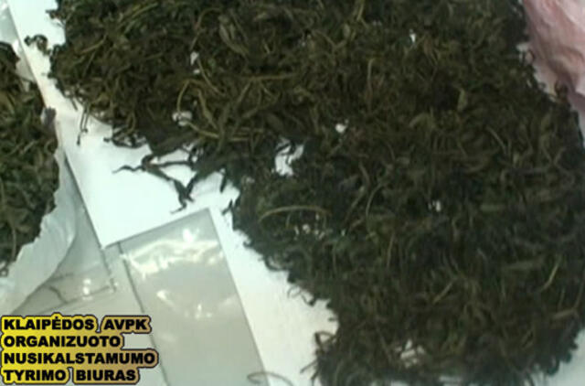 Festivalyje - rekordinis skaičius apsirūkiusių jaunuolių