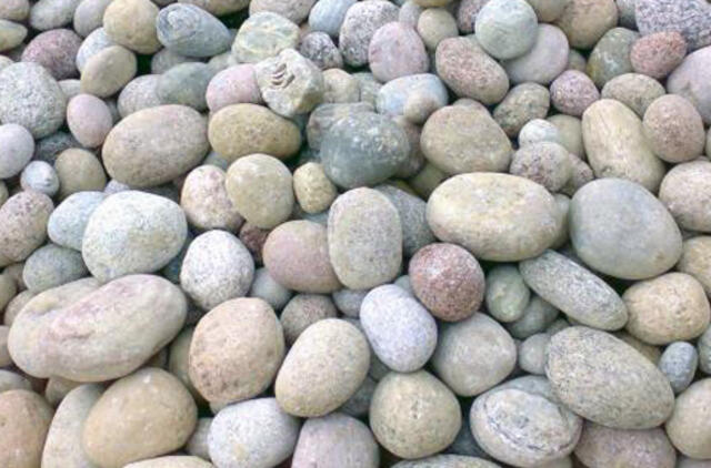 Ilgapirštį Turgaus aikštės gyventoją sudomino akmenys